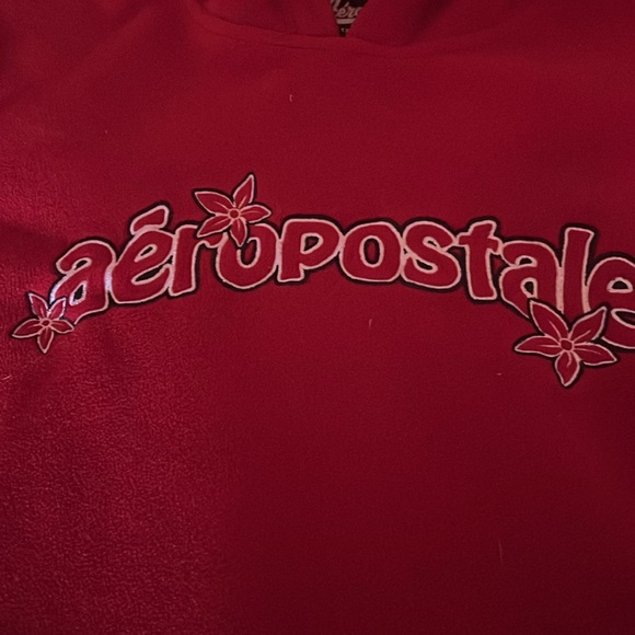 Aeropostale Hoodie - Picture 2 of 3